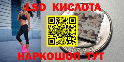 гидропоника Кингисепп