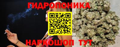 МДПВ Кинель