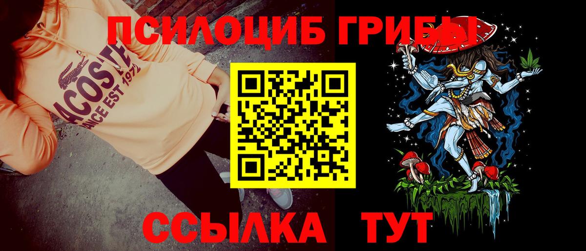 Королёв  Галлюциногенные грибы Psilocybine cubensis  Вход с VPN 