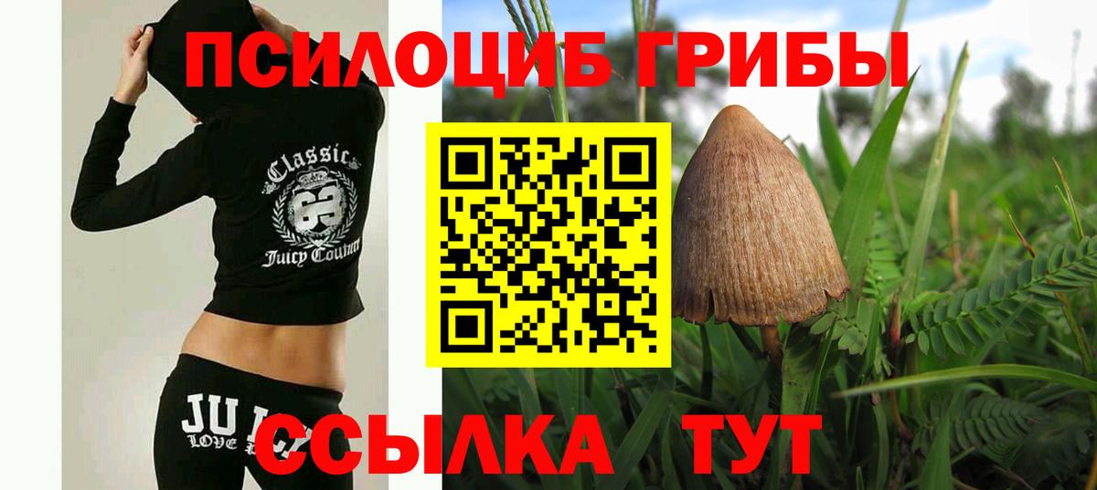 Псилоцибиновые грибы Magic Shrooms Королёв